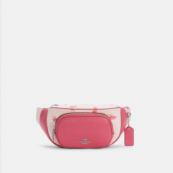 Coach Court Belt Bag Fanny Pack with Popsicle Print - Picture 1 of 5
